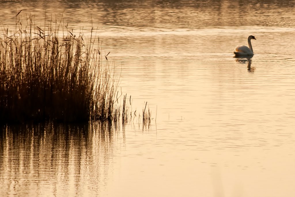 Porto Viro, Province of Rovigo, Italy by Germano Chieregato