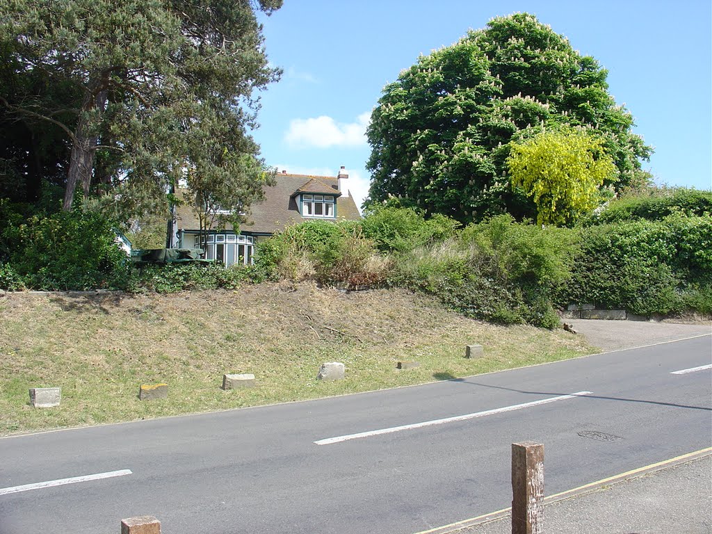 Coast Road, West Mersea - May 2005 by Paul HART