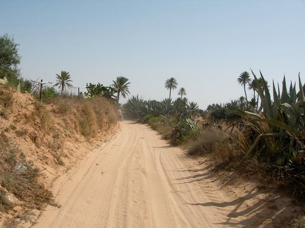 Djerba 3 by Henk Vallentgoed