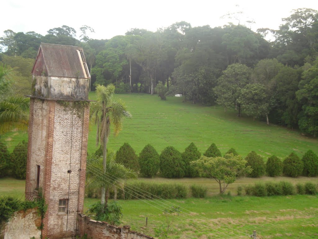 Bosque Castelo Eldorado -Marilandia do Sul Pr. by João Marcos de Faria