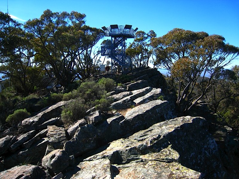 Summit of Mt Brown by sebr