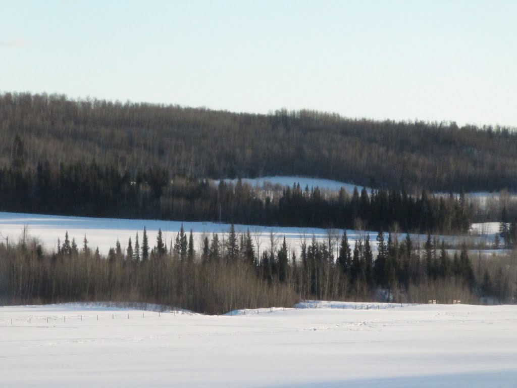 Beautiful Forest And Valley Views Along The Coulee's Edge In The Tawatinaw Valley North of Edmonton Jan '11 by David Cure-Hryciuk