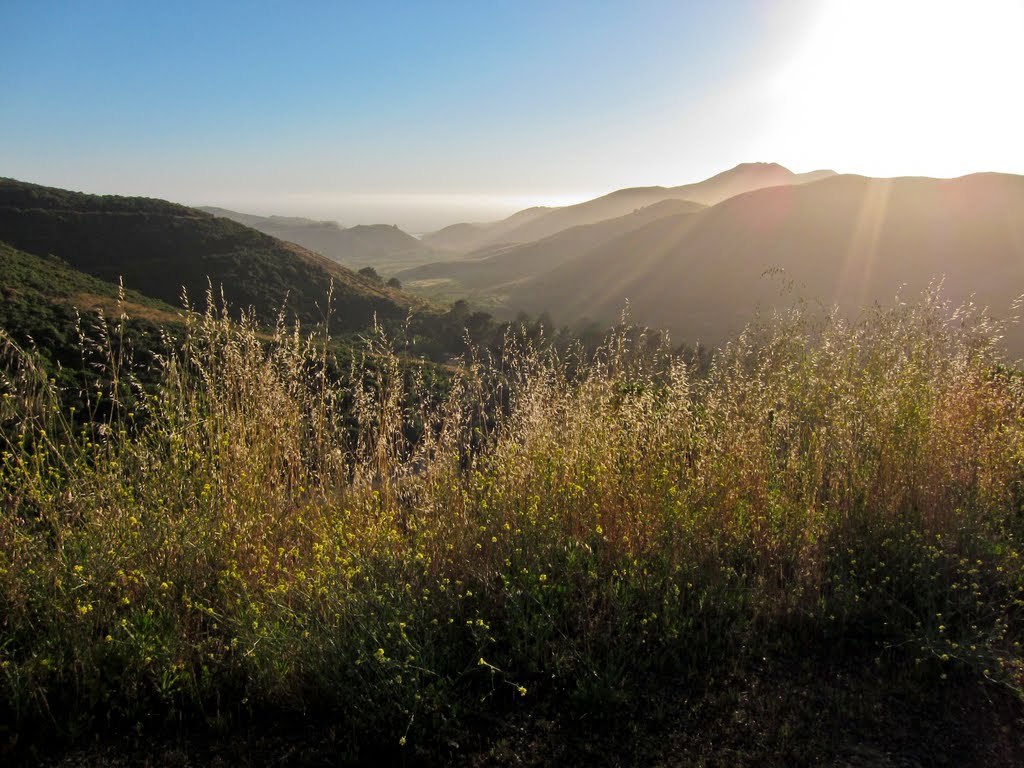 Near Rodeo Beach by Wolfgang Saumweber