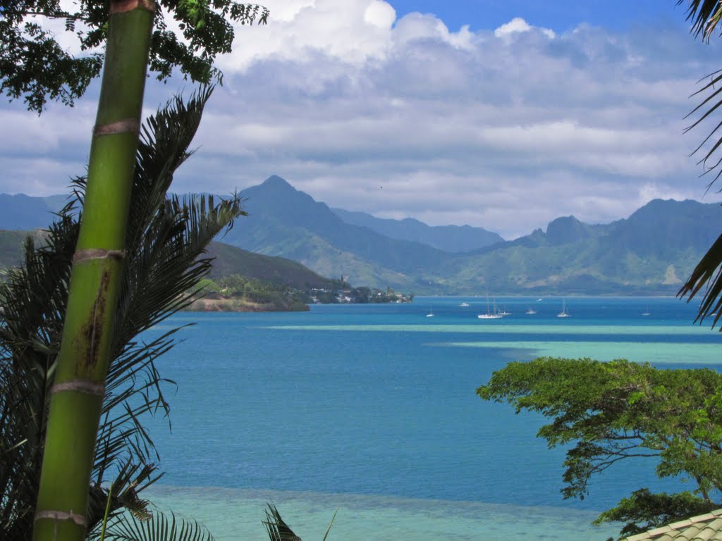 Kaneohe View by Wolfgang Saumweber