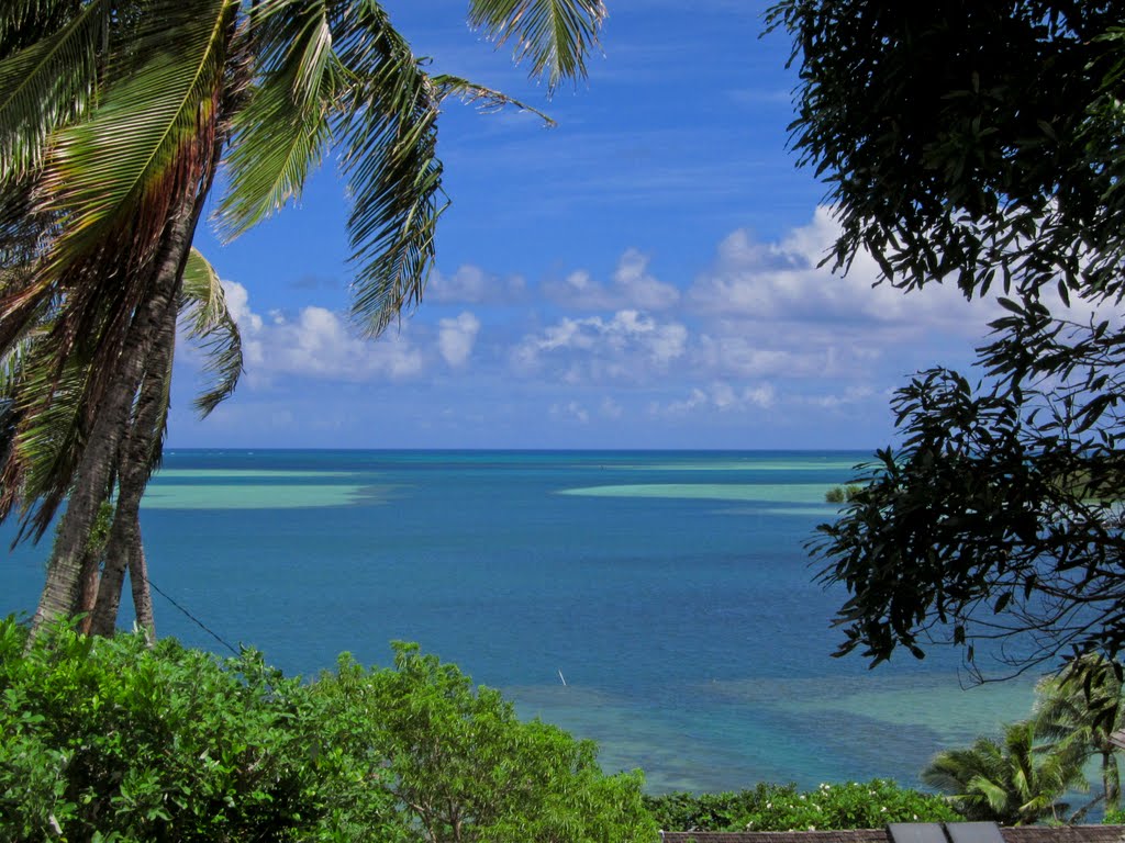 Kaneohe View by Wolfgang Saumweber