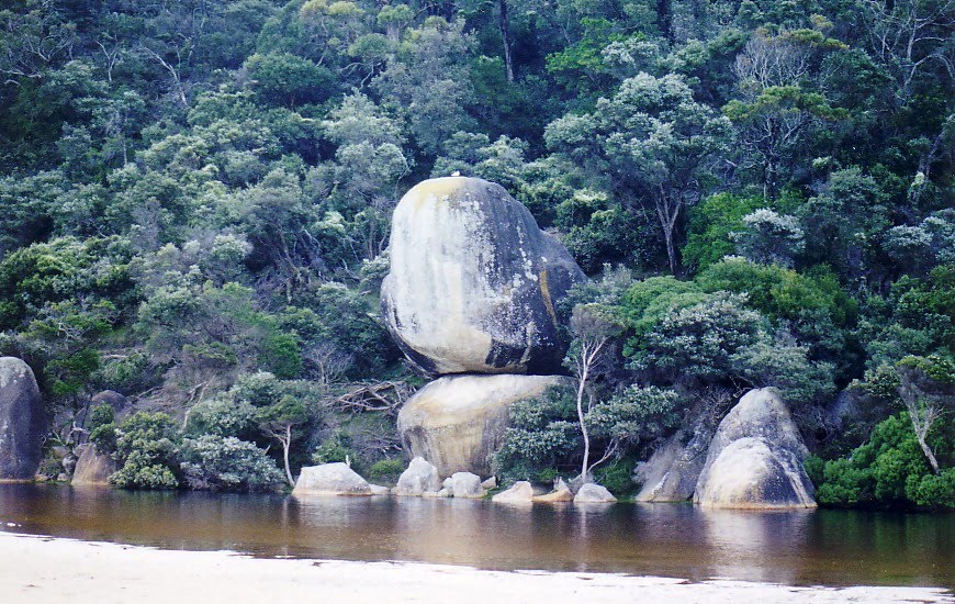 Whale Rock at Tidal River by healthycells