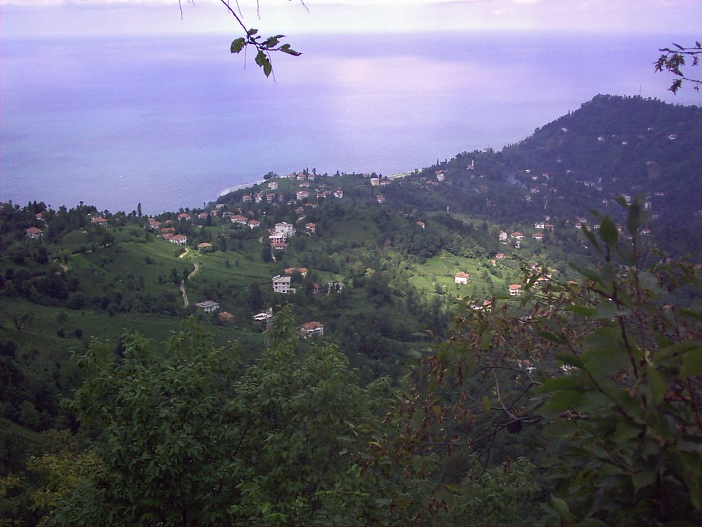 53800 Taşlık/Rize Merkez/Rize, Turkey by alkan53