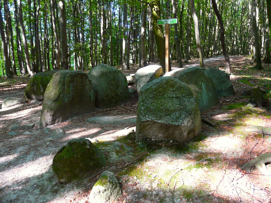 Germany_Western Pomerania_Ruegen Island_Nipmerow-Hagen_Penny Grave megalithic tomb_P1160096.JPG by George Charleston