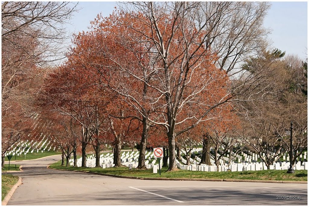 Arlington National Cemetery by B47