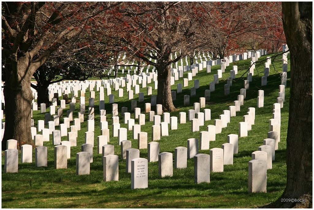 Arlington National Cemetery by Bocaj Nesnaj