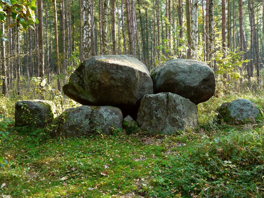 Germany_Mecklenburg_Sparow_megalithic tomb_P1170757.JPG by George Charleston