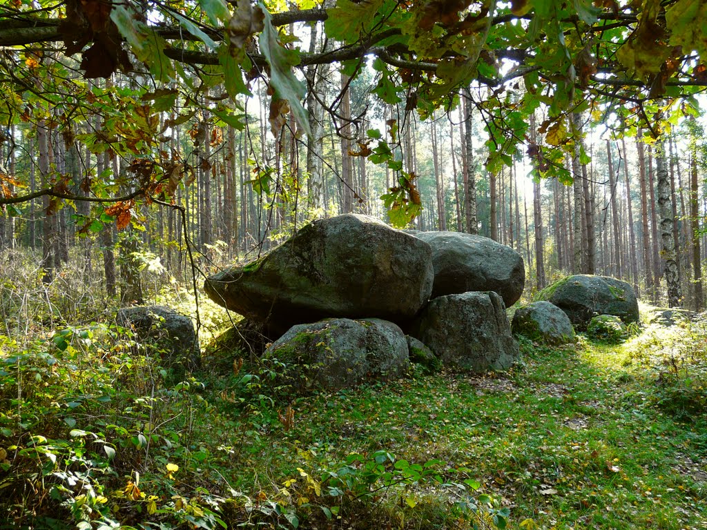 Germany_Mecklenburg_Sparow_megalithic tomb_P1170765.JPG by George Charleston