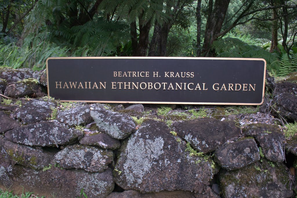 Hawaiian Ethnobotanical Garden Sign by fire911chick