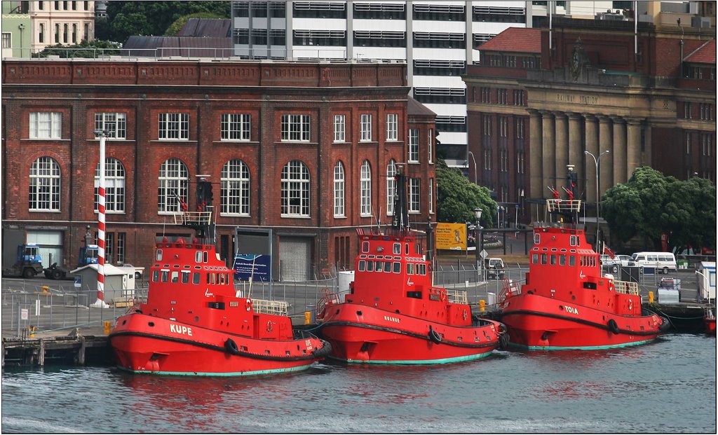 Wellington waterfront by Vladimir Minakov