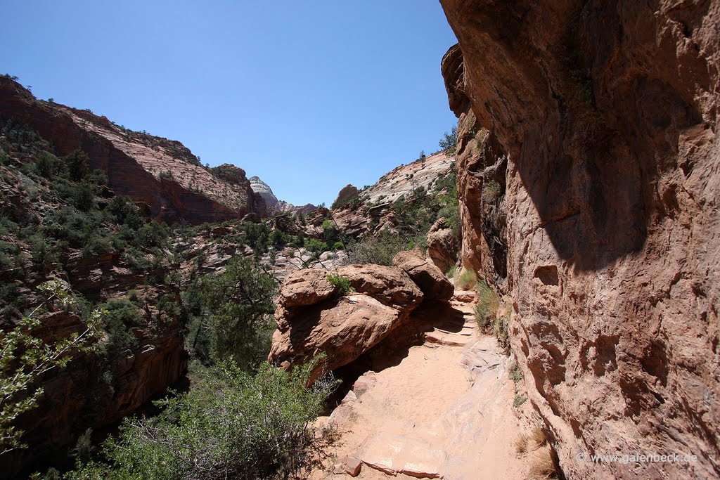 Pine Creek Canyon by Thomas Galenbeck