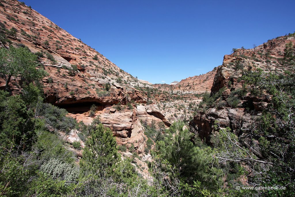 Zion National Park by Thomas Galenbeck