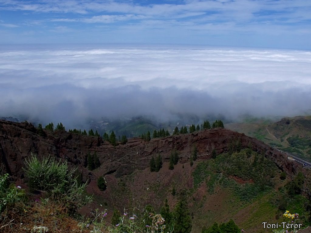 Caldera Pinos de Galdar by Toni Teror