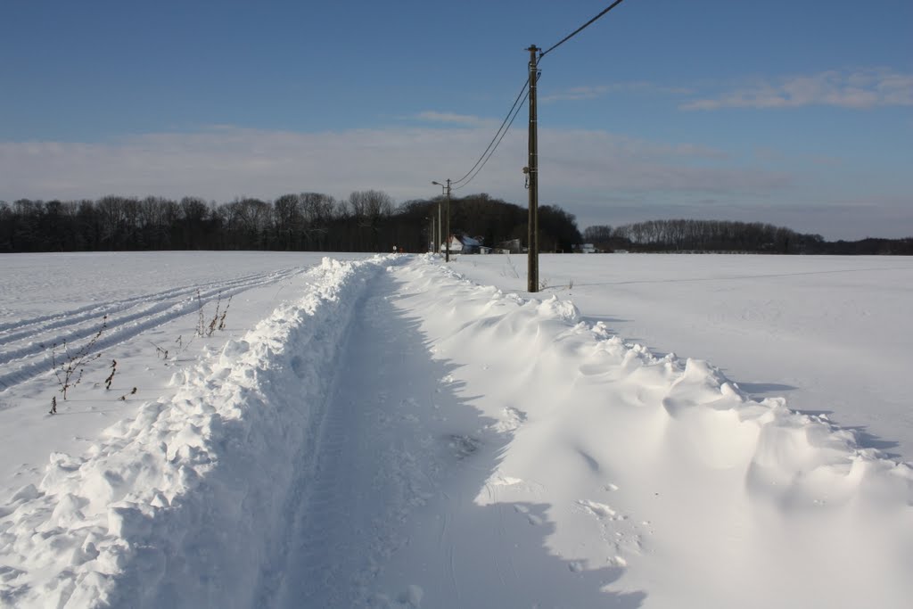 Chemin Saint Roch Décembre 2010 by ediano