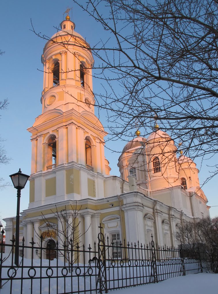 St. Vladimir's Cathedral / Jnauary sunset by Elena Zakamaldina