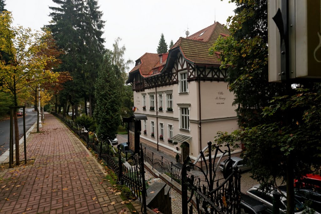 Mariánské Lázně - Anglická - View South on Villa St Georg - Art Nouveau Fence by txllxt