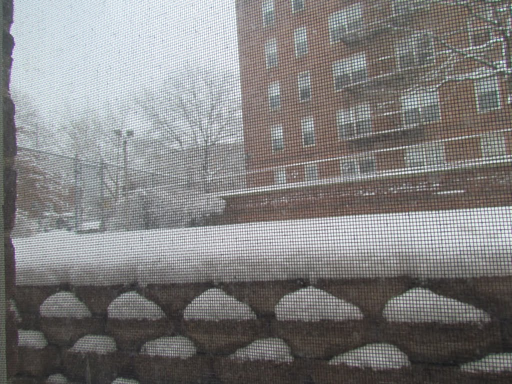 From my window, 6th. Snow strom of the season. by Nasir Uddin