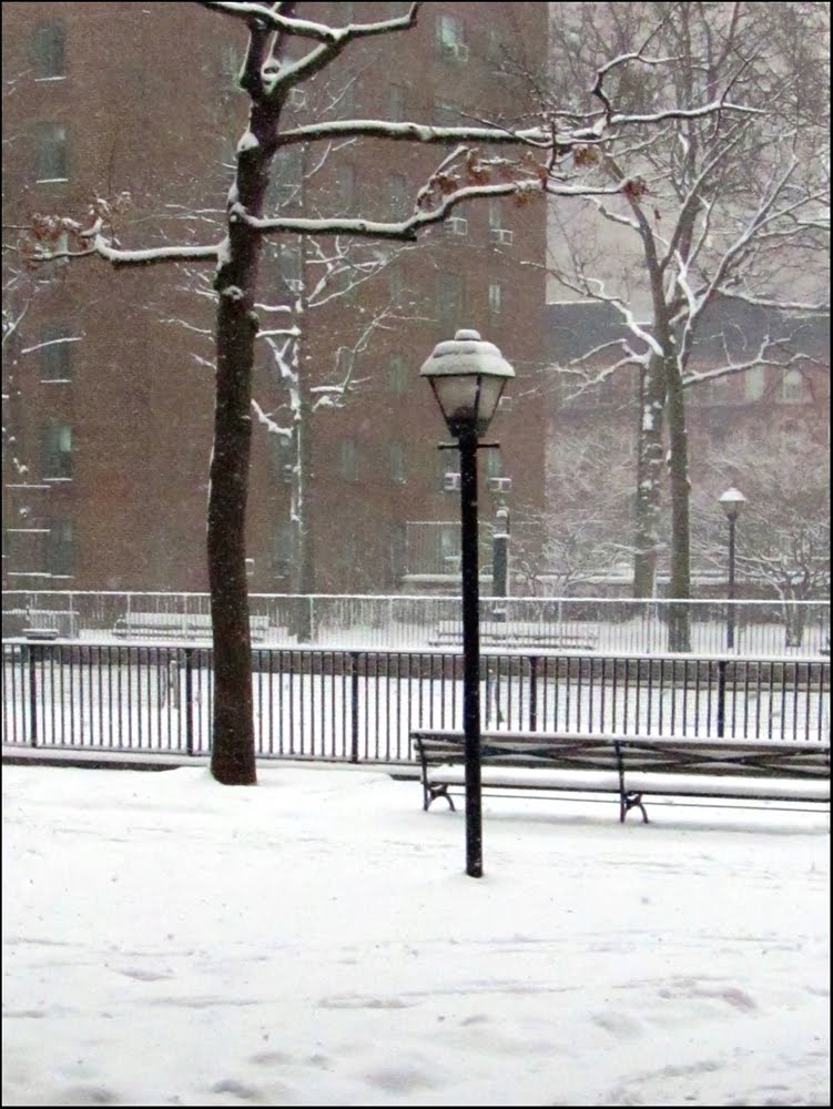 Snowfall No. 7 - Stuyvesant Town, NYC - January 2011 by LuciaM