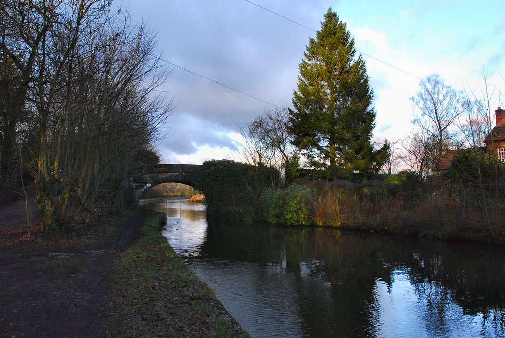 Arley Lane Bridge 64 by David Humphreys