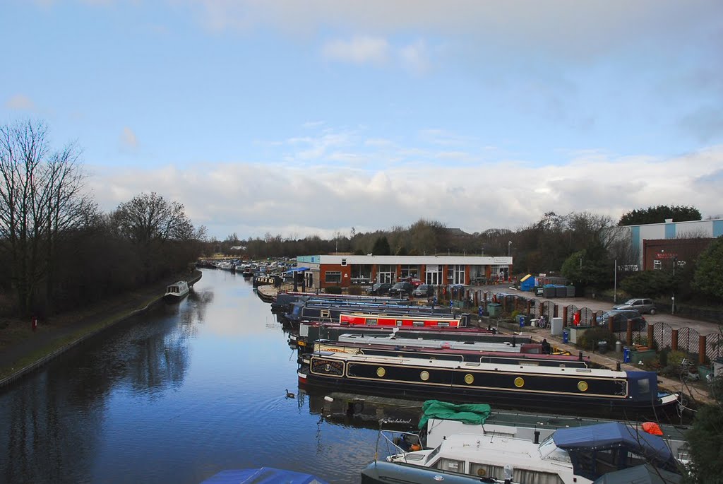 Marina by David Humphreys