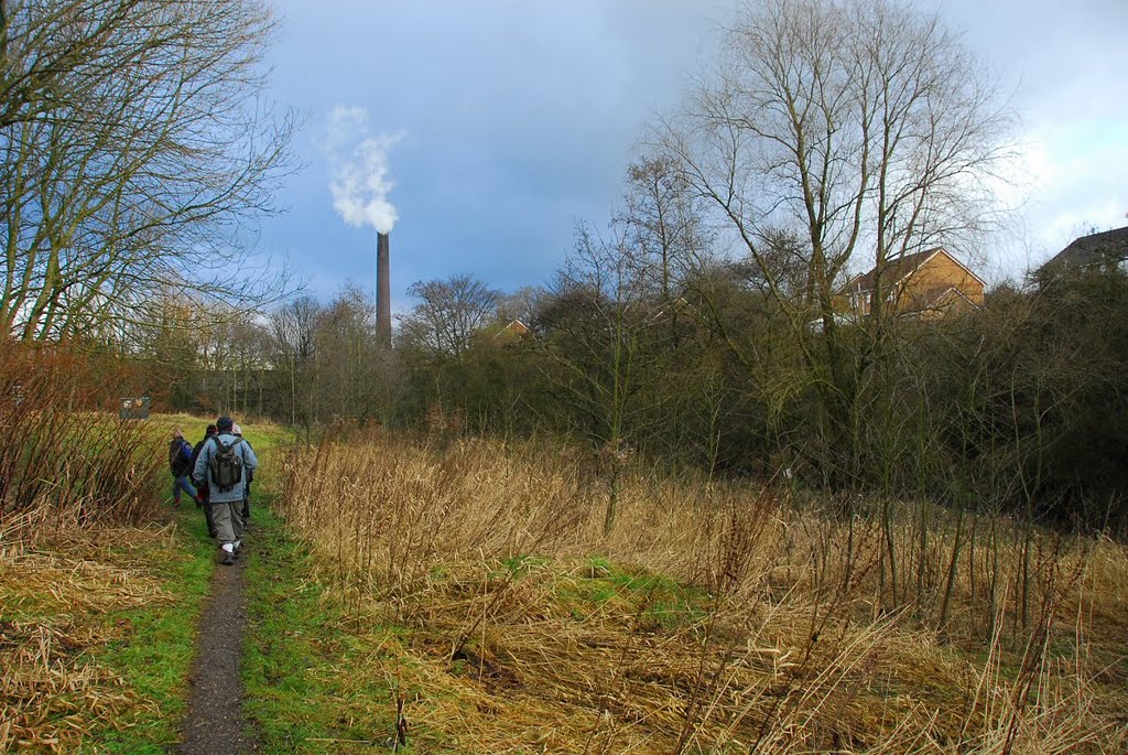 Footpath by David Humphreys