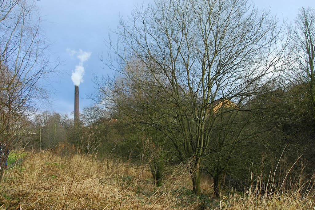 Dye works chimney by David Humphreys