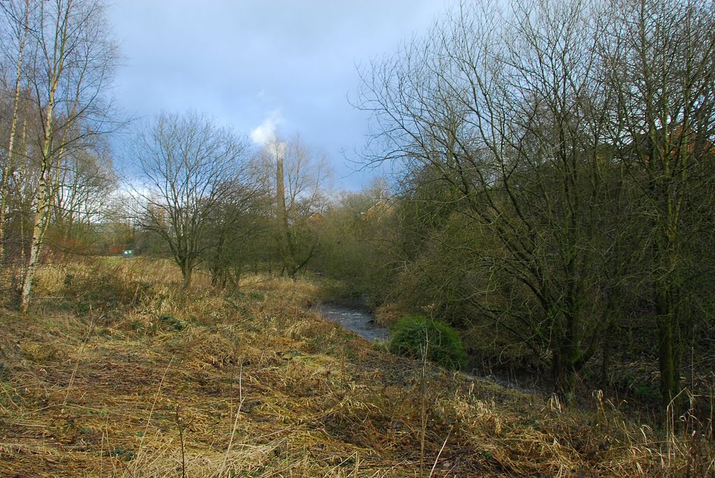 River Douglas by David Humphreys