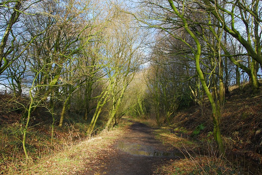 Footpath by David Humphreys