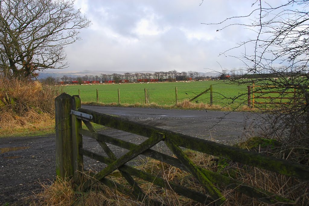 Old gate by David Humphreys