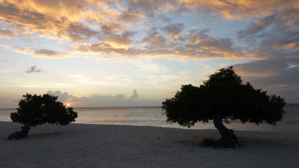 Dividivi (Fofoti) Tree by Sunset Eagle Beach Aruba January 2011 by Harald hooghiemstra