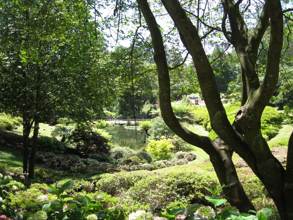 A peek inside the Rhododendron Gardens by ger.rebe