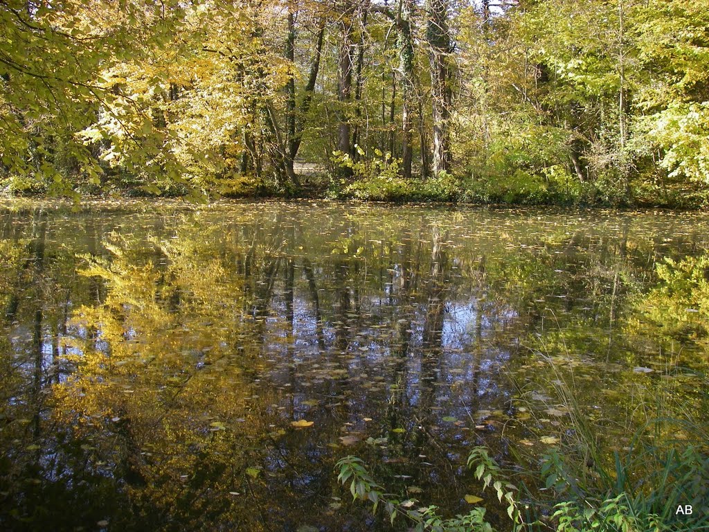 Beim Seeschloss Monrepos by Anja Birnbaum