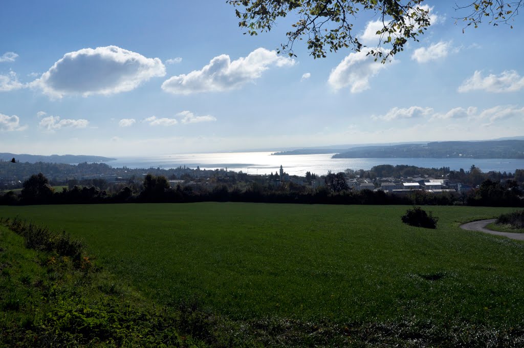 Überlingen - Aufkirch. Das Schwabenmeer im Dunst des Spätherbstes. by Michael Eckrich-Neub…