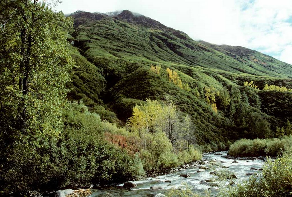 From Hatcher Pass Road - 200009LJW by Larry Workman QIN