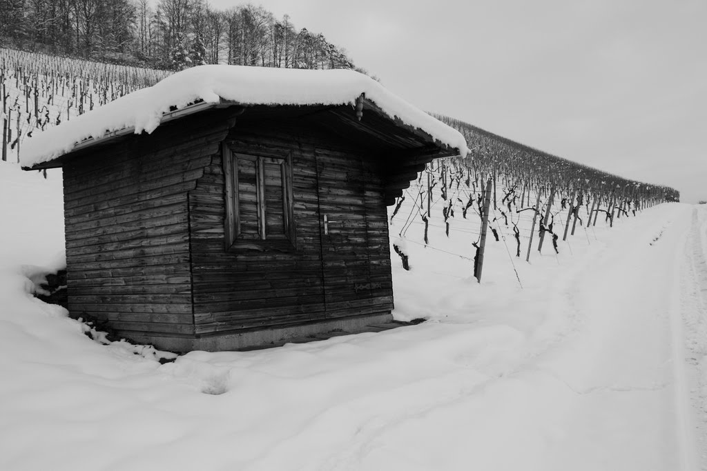 Weinbergshütte by stesib