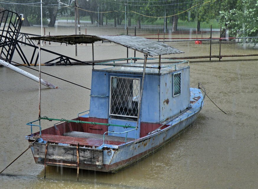 Flooding of the Sava River by Tijana Lubura