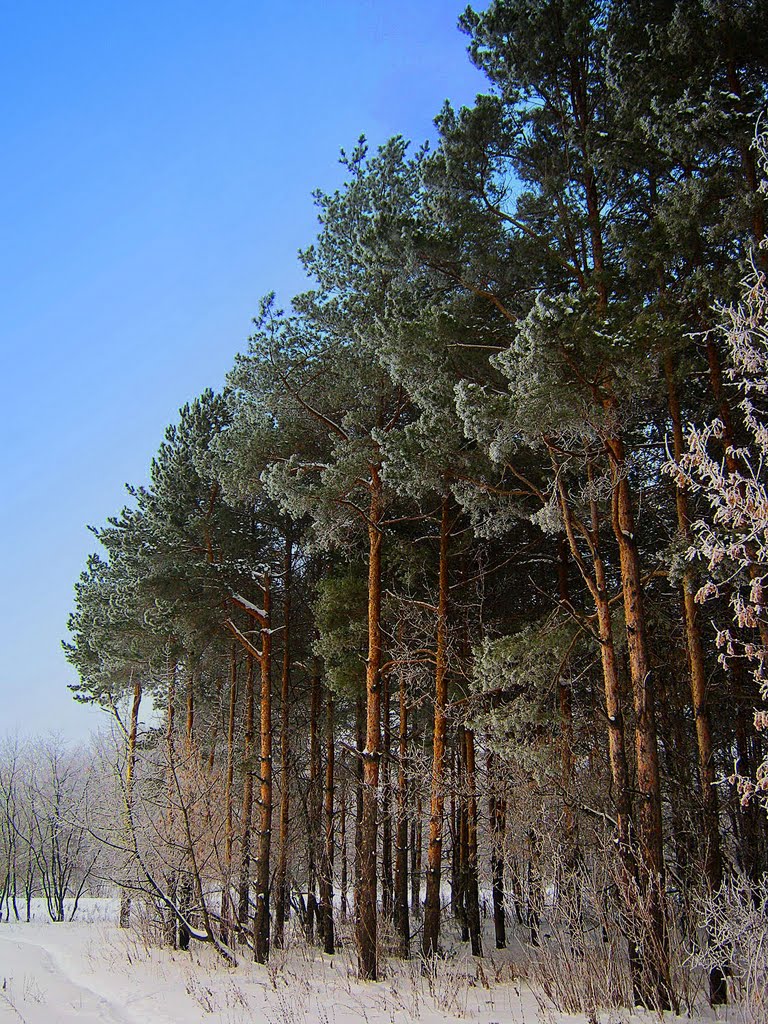 Moskovskiy rayon, Ryazan', Ryazanskaya oblast', Russia by владимир петров