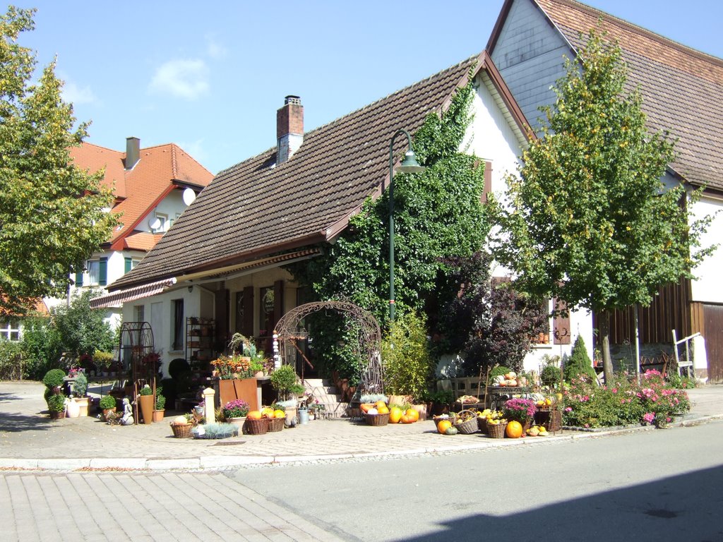 Schopfloch, Blumenladen an der Hauptstraße by RDZfds