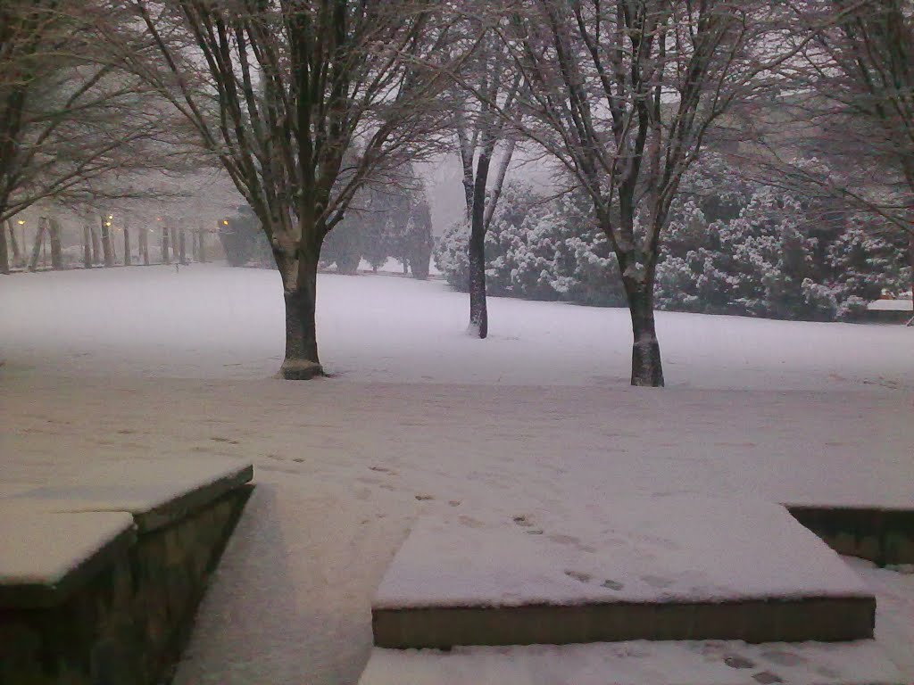 Snowfall in Isfahan University of Technology by Ramin Jamshidi Alashti