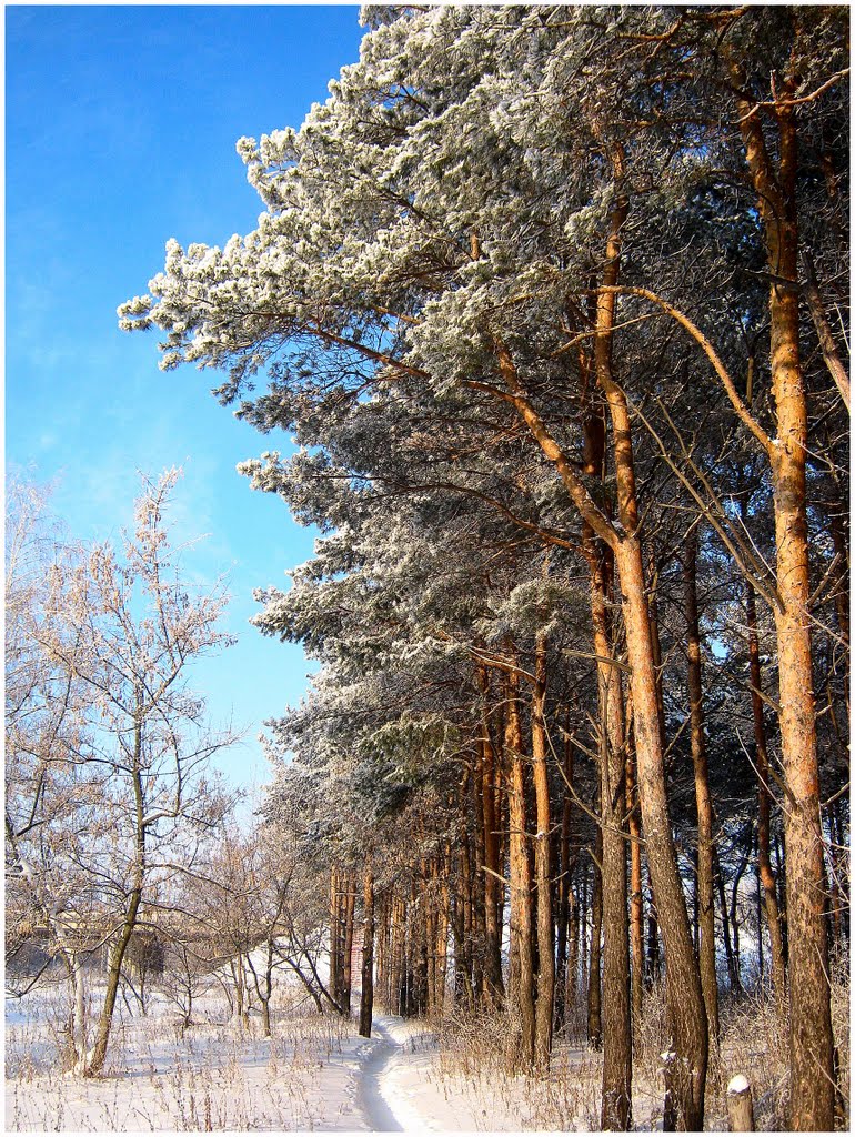 Moskovskiy rayon, Ryazan', Ryazanskaya oblast', Russia by владимир петров