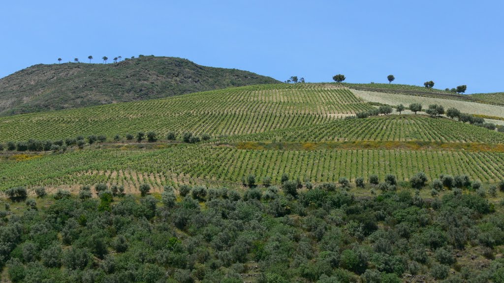 Vallée du Douro (Portugal) by Naru Kenji