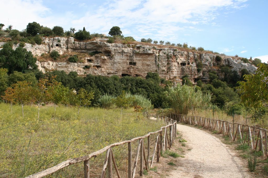 The Cava Ispica (Cave of Ispica) consists of a series of housing units carved in rocky formations by Alexander_121