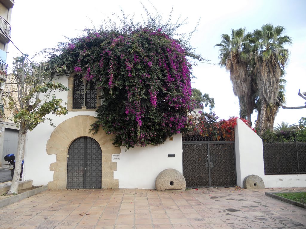 Pineda de Mar: casa del Carreró by Pedro Salcedo i Vaz