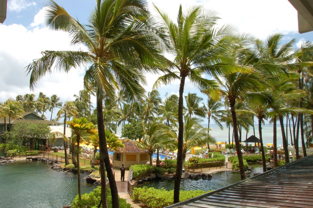 Kahala Hotel Pool areas by Canadian Raptor