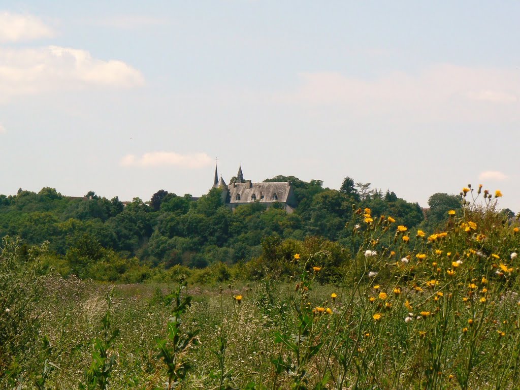 Château de Villequiers by Nicoco37