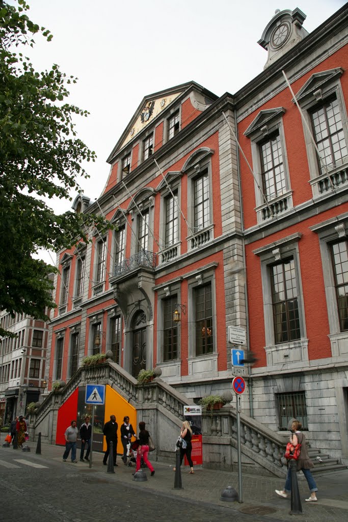 La Violette (Hôtel de Ville de Liège), Liège, Liège, Belgique by Hans Sterkendries